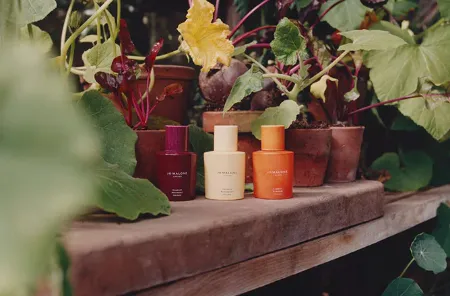 Scent Families